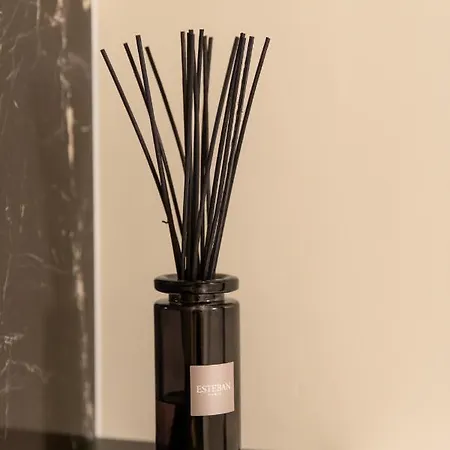 Romanee 6 Personnes Vue Cathedrale 2 Places De Parking 第戎