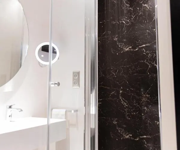 Romanee 6 Personnes Vue Cathedrale 2 Places De Parking ディジョン