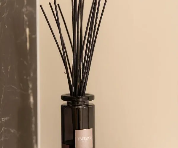 Romanee 6 Personnes Vue Cathedrale 2 Places De Parking ديجون